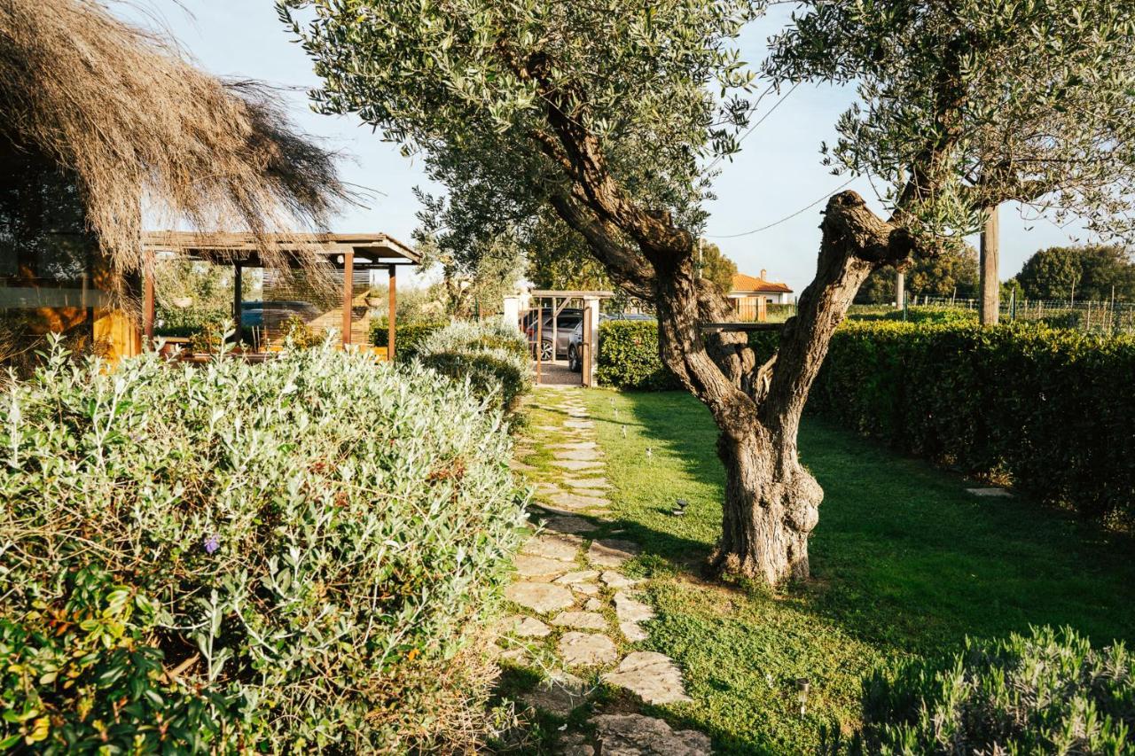 Agriturismo Sweet Cottage Marina di Grosseto Exterior foto