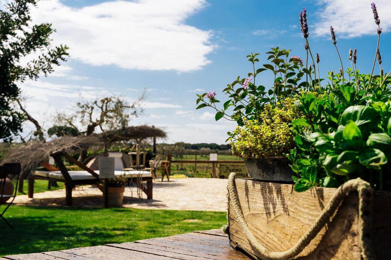 Agriturismo Sweet Cottage Marina di Grosseto Exterior foto