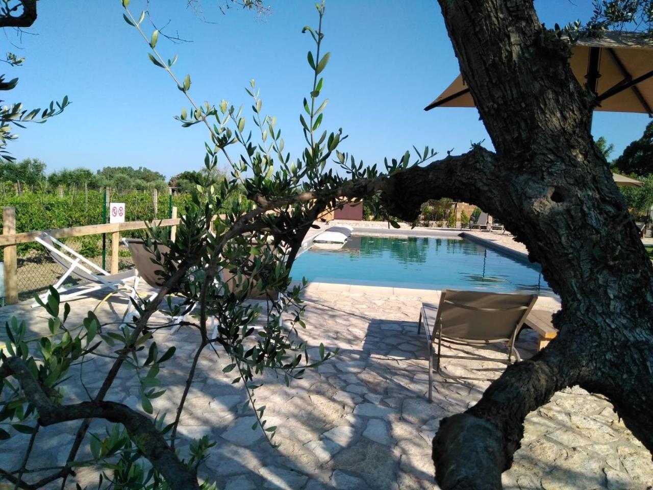 Agriturismo Sweet Cottage Marina di Grosseto Exterior foto